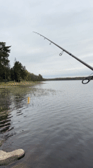 Early morning fishing documented at Russian lake