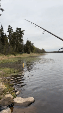Early morning fishing documented at Russian lake