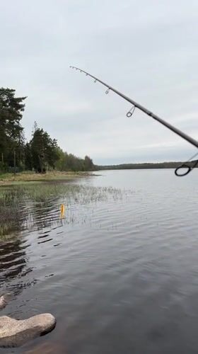 Early morning fishing documented at Russian lake