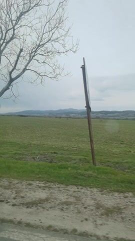 The video shows a landscape scene with a field, a tree without leaves, and a sign. The field is mostly green, and there are mountains in the distance under a cloudy sky. The camera moves slightly, suggesting it was taken from a moving vehicle.