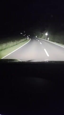 The camera faces forward through a car windshield, revealing a dark road at night illuminated by the car's headlights. The asphalt road has a solid white line on the left and a broken white line in the middle. Trees and bushes line both sides of the road. White reflective posts are visible along the road's edges. The car appears to be driving on a rural road with no other vehicles or people visible.