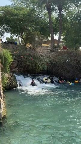 In the foreground, the turquoise water of a river rushes and churns, with white foam indicating a strong current and a small waterfall on the left. A person in a dark wetsuit is in the waterfall, with their body submerged and their head visible above the water, appearing to be going over the falls. To the right of the waterfall, two people are in the water. One is wearing a black outfit and is seated on a large, white inner tube, with their arms extended. Another person, also in black clothing, is positioned behind them. Further to the right, partially obscured by the other individuals, are two people in inflatable rings, one yellow and one orange, floating in the water. The background depicts a lush green bank with trees and foliage, some of which are dry and brittle. A palm tree is visible on the right side. In the distance, under a tan canopy, there are several people sitting. A stone wall runs along the left edge of the river.