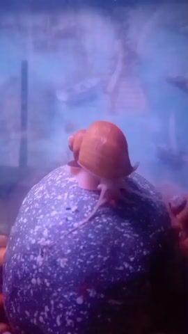 A close-up shot focuses on a single snail perched atop a dark, speckled object, likely a rock or a piece of aquarium decor. The snail, with its orange-brown shell, is the central subject, its body extended, revealing delicate, translucent tentacles. The background is blurred and a vibrant blue, suggesting an aquatic environment, perhaps an aquarium or a body of water. Faint shapes of what appear to be boats or structures can be discerned in the hazy distance, adding a sense of depth and context. The lighting appears to be artificial, casting a cool, ethereal glow over the scene. The overall mood is serene and tranquil, emphasizing the slow, deliberate movement of the snail. The speckled object provides a stark contrast to the smooth shell of the snail and the blurred background, creating a visually interesting composition. There is no visible text in the media file.