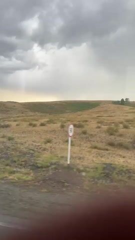 This is a video of a landscape viewed from a moving vehicle. The landscape consists of rolling hills covered in dry, golden grass and scattered green bushes. The sky above is overcast with dark, heavy clouds, suggesting impending rain. The ground in the foreground appears rough and dark, with some patches of green vegetation. There are a few small trees or clusters of trees visible on the crest of the hills in the distance. The video captures the motion of the vehicle as the scenery passes by, with a slight blur effect.