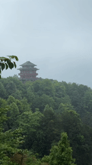 Morning mist shrouds Wulingyuan's iconic rock formations and pagodas