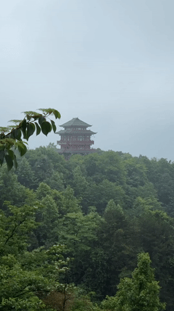 Morning mist shrouds Wulingyuan's iconic rock formations and pagodas