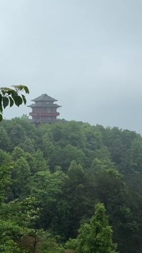 Morning mist shrouds Wulingyuan's iconic rock formations and pagodas