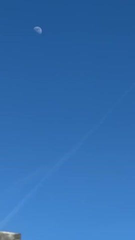 A short video shows a bright blue sky with a contrail running diagonally across it. In the upper left, there is a partial moon visible. As the video progresses, the view widens to include a red brick wall on the lower left and a tree with red leaves on the lower right. The lighting is bright and the day appears clear.