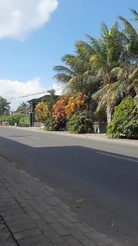 The video shows a street scene on a sunny day. The road is paved and has a brick sidewalk. On the right side of the road, there are several trees, including palm trees, and colorful bushes. On the left side of the road, there is a fence and some buildings. A black car drives past, followed by a motorcycle. The sky is blue with some white clouds.