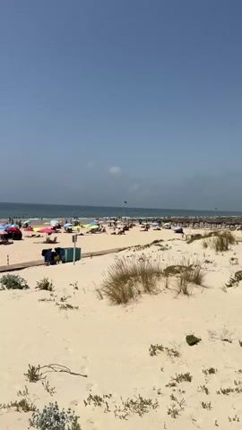 The video shows a wide sandy beach on a clear, sunny day. The ocean is visible in the background with small waves. The beach is populated with many beachgoers, some of whom are swimming in the water. Numerous colorful umbrellas and thatched sunshades are set up on the sand. A wooden boardwalk runs along the edge of the beach, and several people are walking on it. There are also some small structures, possibly kiosks or changing rooms, and trash receptacles visible along the boardwalk. Vegetation, including grasses and small shrubs, grows on the sand dunes near the boardwalk. The overall scene depicts a busy, recreational beach environment.