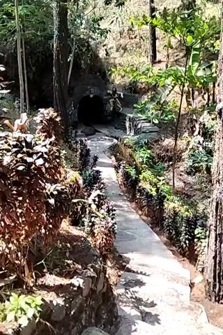 A paved pathway winds through a wooded area, lined with manicured bushes. The path leads towards the dark opening of a cave or tunnel. Sunlight filters through the trees, casting shadows on the ground. To the left of the path, rocks and dense foliage create a natural embankment. On the right, more greenery and trees populate the slope. The overall impression is that of a natural park or hiking trail.