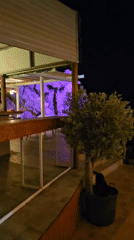 Night out at a lit-up waterfront bar and venue