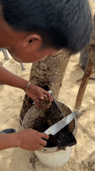 Sea urchin preparation observed on General Luna beach