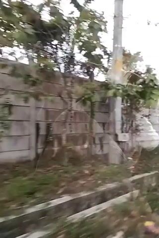 A concrete wall runs along a dirt path. Trees and brush grow on either side of the wall. A drainage ditch is visible in the foreground. The sky is overcast. The video is shaky, indicating it was likely filmed from a moving vehicle.