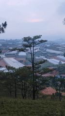 Rural farming and recreation documented across Da Lat region
