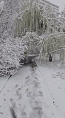 Spring snowfall blankets park path in Khimki, Russia