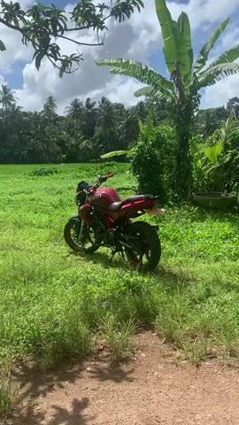 A red and black motorcycle is prominently parked in a vibrant green grassy field under a partly cloudy sky. The motorcycle features a metallic red fuel tank and upper fairings, contrasted with black accents on the frame, seat, and wheels, which also have red trim. Visible text on the motorcycle includes "TENZO" on the tank and "Mom & Dad" on a lower side panel. A license plate is partially visible at the rear.

The setting is a lush, tropical landscape, with a dense forest of tall palm trees and other green foliage occupying the background. Large banana leaves are visible on the right side of the frame, contributing to the tropical ambiance. The ground where the motorcycle rests is covered in various shades of green grass, with a hint of a dirt path in the foreground to the right. The overall scene suggests a peaceful, outdoor environment, consistent with the provided location context of Karandugoda, Sri Lanka. The time of day appears to be daytime, with ample natural light.