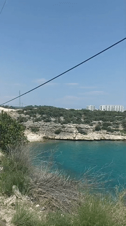 Coastal exploration reveals beaches, harbors, crystals, and wildflowers