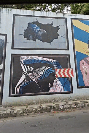 Street art murals documented along outdoor wall in Mumbai