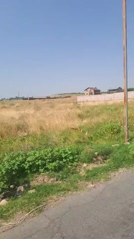 The video shows a view from a vehicle traveling on a paved road. On the left side of the road, there is a grassy field with some bushes and a concrete wall. Beyond the wall, there are houses and a telecommunications tower. The sky is clear and blue. The camera pans slightly to the right, revealing more of the field and trees. The scene appears to be rural or semi-rural.