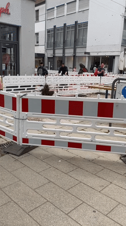 Insect swarm spotted at construction site in Landau, Germany