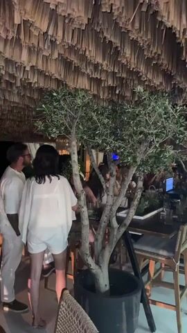 The video pans across an indoor space with a thatched ceiling. In the foreground, an olive tree in a pot stands between the camera and a group of people. To the left, a person wearing a white top and white shorts faces away from the camera. To the right, a person in a white t-shirt and blue shorts faces away from the camera, looking towards a bar area. The bar area features wooden stools and a counter with bottles and what appears to be a laptop. Other people are visible seated and standing around the bar, some interacting with each other. The overall ambiance suggests a restaurant or lounge setting.