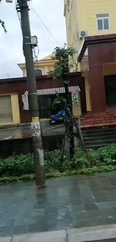The video shows a rainy street scene in a town. The camera appears to be moving, capturing views of buildings lining the street, some with storefronts. A few parked motorcycles are visible, and a single car drives down the street in the distance. The Vietnamese flag is visible in front of one of the buildings. The overall impression is of a quiet, overcast day in a small town.