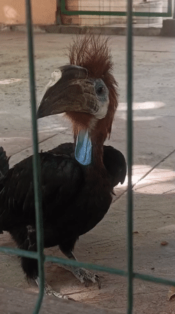 Morning at Shymkent Zoo: animals, aquariums, and parkside views