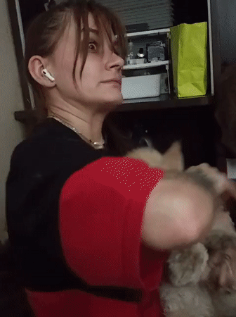 Cat lover tends to multiple kittens in Almaty apartment