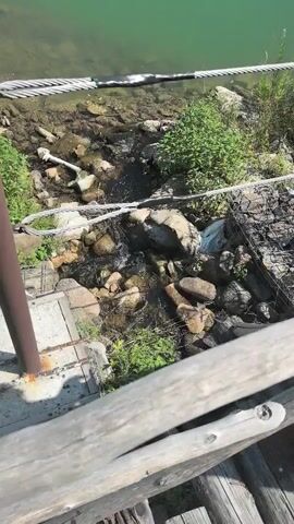 The video begins with a close-up view of a stream flowing into a body of green water. The stream is rocky and has some vegetation growing around it. A metal cable railing runs across the foreground. The camera then pans up to reveal a wider view of the green water, with a building and trees in the background. The water is calm and reflects the surrounding scenery.