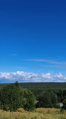 Summer morning in Chukhloma's rural countryside