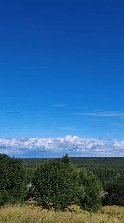 Summer morning in Chukhloma's rural countryside