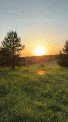 Young women pose playfully in Russian meadow at sunset