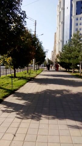 This media file depicts a tree-lined sidewalk in Dushanbe, Tajikistan, on a sunny day. The perspective is low and angled, capturing a tiled walkway casting long shadows from unseen trees. To the left, a modern, tall building with blue and white accents stands in the background, suggesting an urban setting. Further down the sidewalk, a few individuals are visible walking, their figures silhouetted against the bright light. The trees lining the walkway are lush and green, with some displaying hints of autumnal color, indicating it might be late summer or early autumn. The overall scene conveys a sense of calm and everyday life in a city park or public walkway. No visible text is present in the media file. The time of day appears to be late morning or early afternoon, given the angle and length of the shadows. The weather is clear and sunny.
