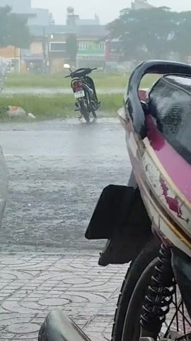 This is a close-up, medium shot video of a parked motorcycle during a rainstorm. The motorcycle in the foreground is a pink and black Honda scooter. In the background, another black motorcycle is parked in a grassy area. It is raining heavily, with visible raindrops and wet surfaces. The environment appears to be a street or roadside, with buildings and trees visible in the distance. The video focuses on the details of the motorcycle and the rain.