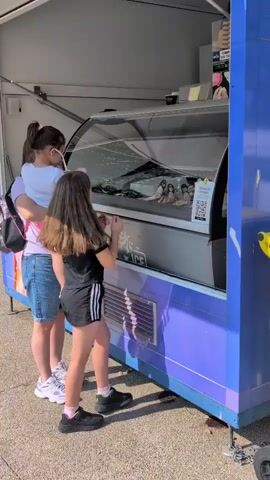 Two young girls and an adult are standing in front of an ice cream truck. The adult is holding one of the girls, who is reaching towards the ice cream display. The other girl is standing in front of the display and looking at the ice cream. The ice cream truck is blue and white, and the display case is filled with various flavors of ice cream. It appears to be a sunny day, and the ground is paved.