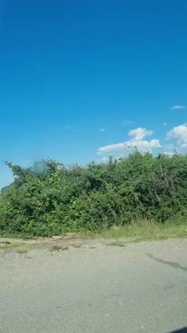 The video captures a scenic view from a moving vehicle, looking out over a lush green landscape under a bright blue sky dotted with fluffy white clouds. The foreground shows a portion of a paved road and grassy verge. The middle ground is dominated by dense green foliage, including trees and bushes, with rolling hills and mountains visible in the distance. A small village or cluster of houses can be seen nestled amongst the hills. The camera appears to be panning or moving slightly, offering a dynamic perspective of the natural scenery. There are no people or specific objects of interest clearly identifiable, other than the vegetation and landscape.