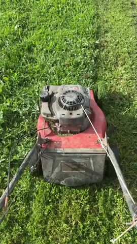 The video shows a person holding the handle of a red and black lawnmower on a sunny day. The lawnmower is situated on green grass. The lawnmower appears to be slightly dirty. The person is preparing to use the lawnmower to cut the grass.