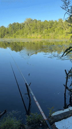 Afternoon fishing on a quiet Riga waterway, small catch included