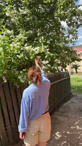 Here is a description of the video:

A woman stands next to a wooden fence, reaching up to touch the branches of a flowering tree. She is fair-skinned with reddish-brown hair pulled back in a bun and held in place with a butterfly clip. She wears a light blue button-down shirt and khaki shorts. The woman turns her head and appears to speak to someone off-camera. She wears glasses. The tree next to her is covered in white flowers. A few houses are visible in the background. The scene is set on a bright, sunny day.