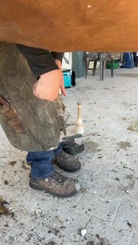 A person wearing a leather apron and jeans is working on a horse's hoof. Their hands are visible, manipulating something near the hoof. Tools, including a mallet and a file, are laid out on the ground. The ground appears to be a paved or concrete surface, with some debris scattered around. In the background, there are some plastic containers and furniture. The lighting suggests it is daytime.
