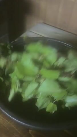 A close-up shot shows a black basin filled with dark water and submerged green leafy branches. The camera is positioned above and to the side of the basin, focusing on the contents. The water appears slightly murky. In some frames, a hand is seen lifting and agitating the branches within the basin, causing them to swirl and splash. The leaves are bright green and appear wet. The basin itself is dark and appears to be made of plastic or a similar material. The background is blurred but suggests a wooden interior, possibly a sauna or a rustic room, with wooden planks visible. The lighting is dim, with some shadows and highlights present. The overall impression is of a preparation or use of natural elements in a confined, possibly humid, environment.