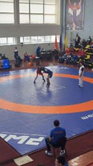 Wrestling Match and Urban Playground Activity Observed