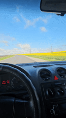 Driver passes through yellow flower fields near Haskovo, Bulgaria