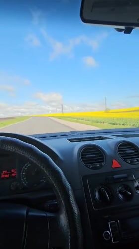 Driver passes through yellow flower fields near Haskovo, Bulgaria