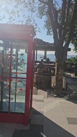 A video pans across an outdoor seating area at a cafe or restaurant. To the left, a portion of a red phone booth-like structure is visible. In the center, a tree stands in front of a covered seating area with tables and chairs. The background reveals a view of hills and mountains under a clear blue sky. The ground is paved with stone tiles. The sun casts shadows from the trees. The video is silent.