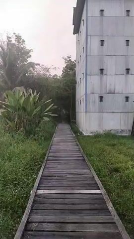 The video pans across an outdoor scene. On the right is a tall, multi-story building with a light-colored facade and numerous small, square windows. A wooden boardwalk extends from the foreground towards the building, disappearing into lush green vegetation on either side. To the left of the boardwalk, tall plants with broad leaves are visible. Behind the building, trees and more vegetation can be seen. The sky is overcast. The camera movement is steady, creating a panoramic view of the location.