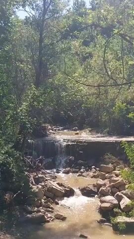 The camera pans down from a lush, green forested hillside to reveal a rocky stream flowing downhill. The water appears slightly muddy, and cascades gently over a small, man-made dam or stone barrier before rushing down into the rocky stream bed.  The scene is well-lit by sunlight filtering through the trees. There are no people visible.