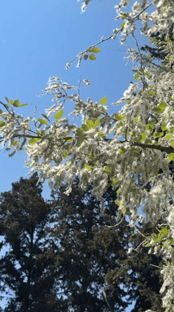 Daily life documented across Tbilisi during sunny spring morning