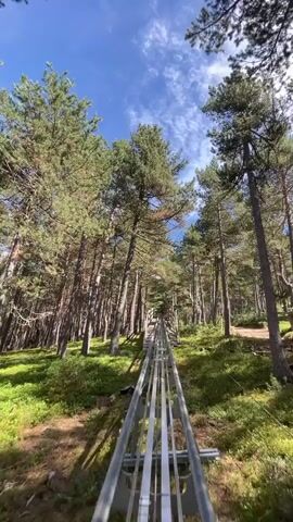 The video shows a first-person perspective of a person riding a roller coaster through a forest. The track is made of metal rails and is elevated above the ground. Tall pine trees line the track, with green foliage and some patches of sunlight visible. The sky is blue with some white clouds. The rider's head and shoulders are visible in the foreground, wearing a dark shirt. The person's feet, wearing pink and white sneakers, are also visible. The roller coaster is moving at a moderate speed.